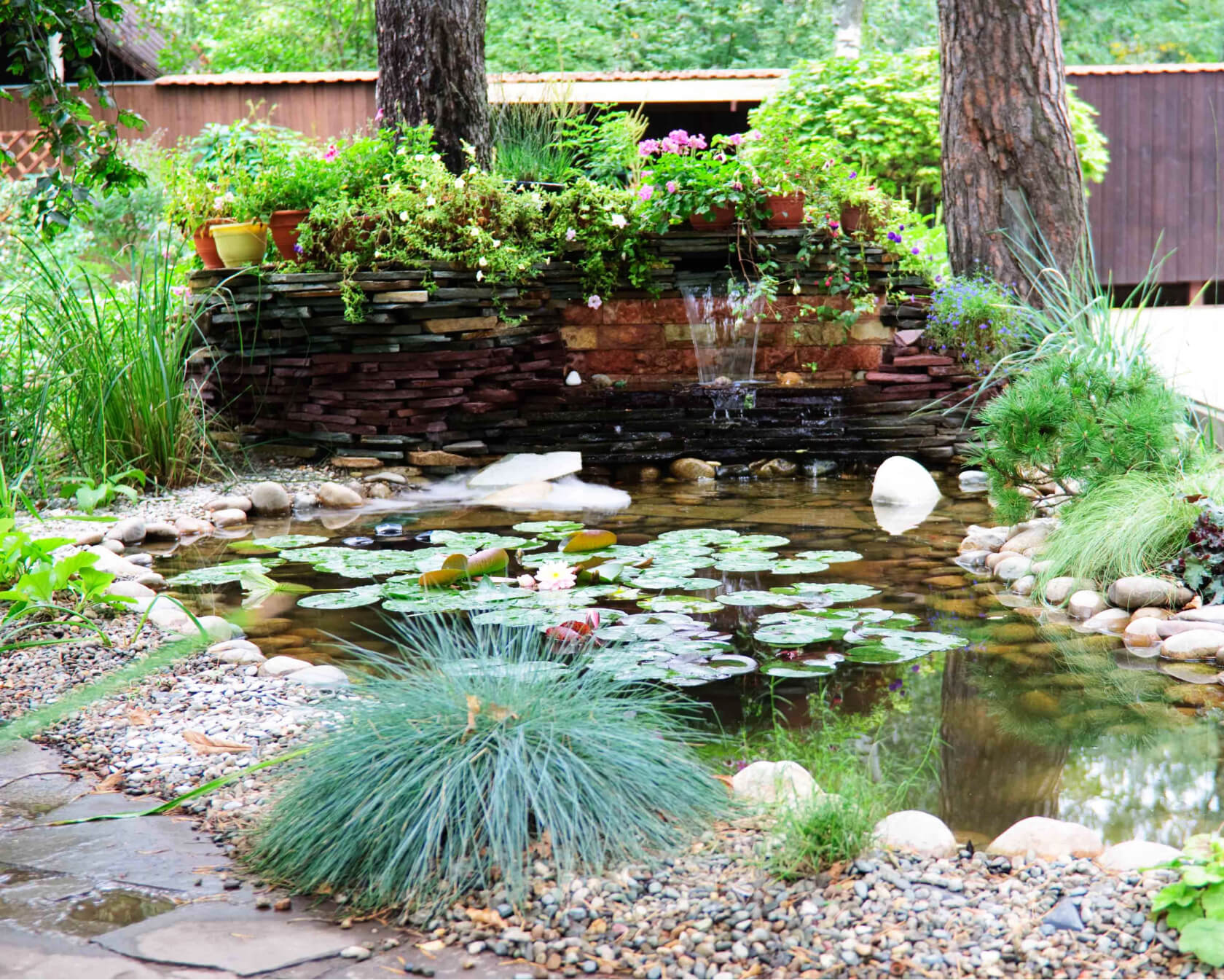 Проект Баковка